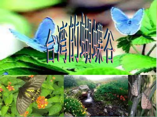 台湾的蝴蝶谷-概要
