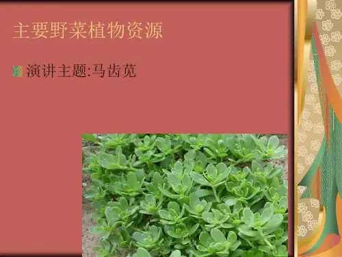 主要野菜植物资源