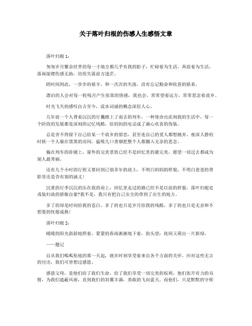 关于落叶归根的伤感人生感悟文章