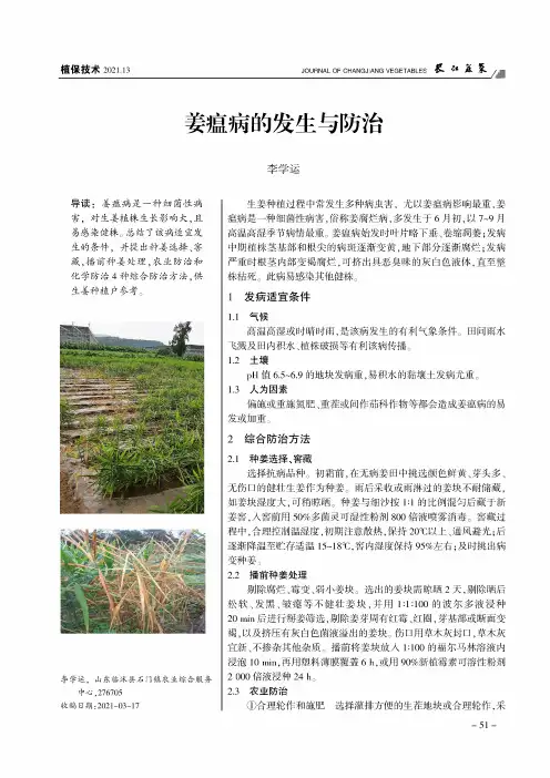姜瘟病的发生与防治