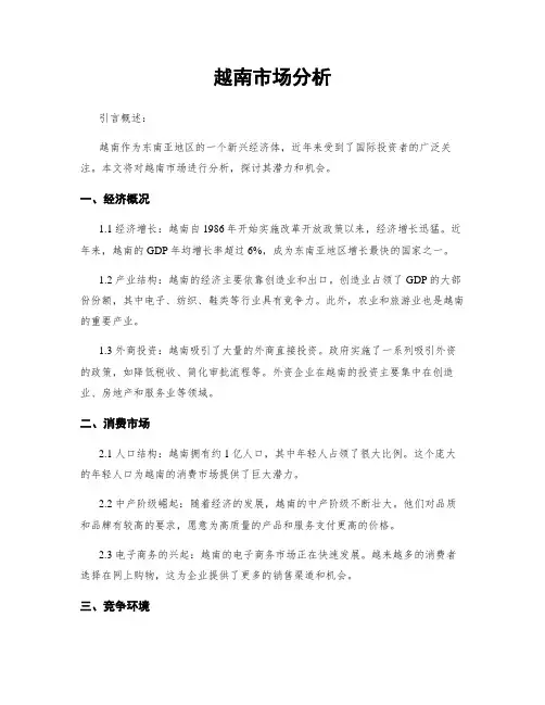 越南市场分析