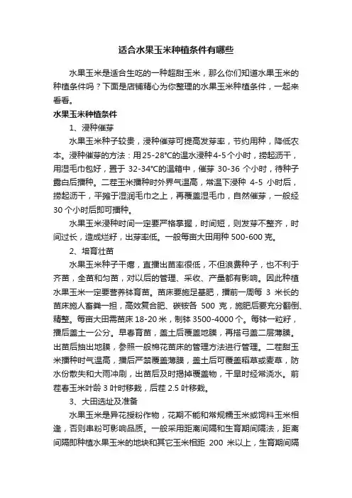 适合水果玉米种植条件有哪些