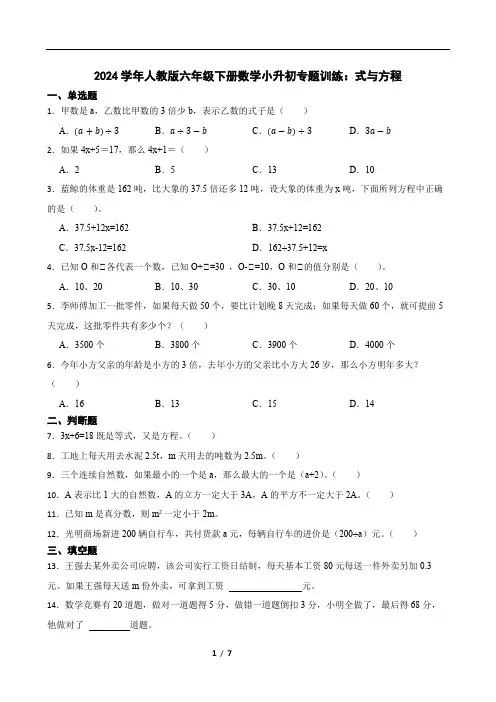 2024学年人教版六年级下册数学小升初专题训练：式与方程