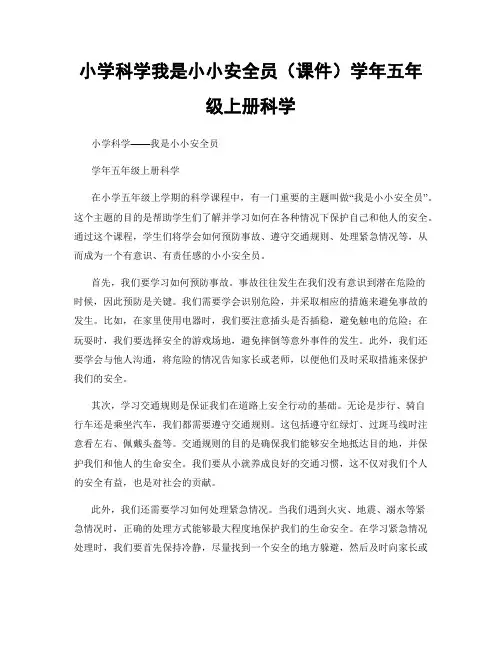 小学科学我是小小安全员(课件)学年五年级上册科学