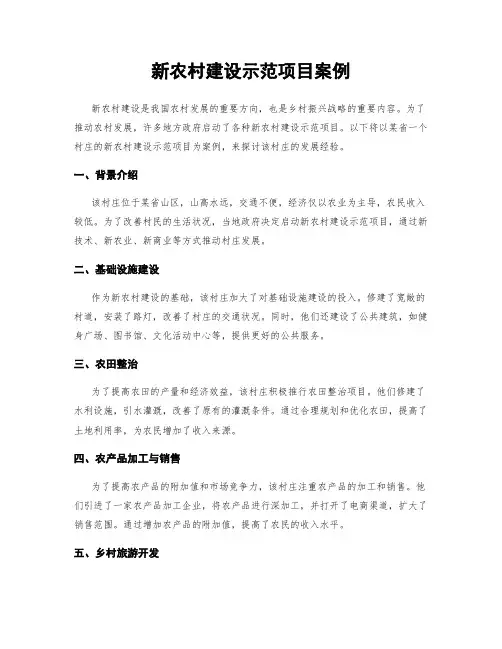 新农村建设示范项目案例