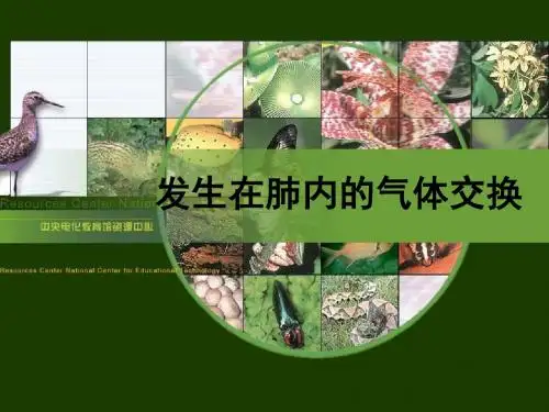人教版七年级生物上册第四单元第三章第二节发生在肺内的气体交换PPT课件