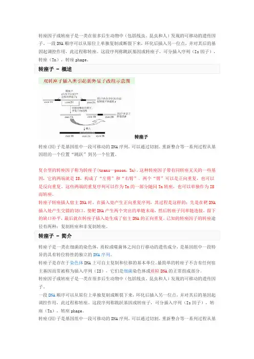 转座子