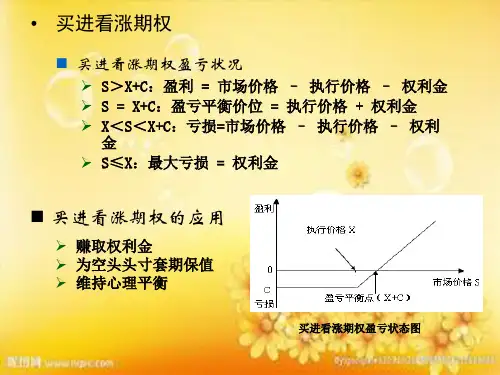 期权投资策略