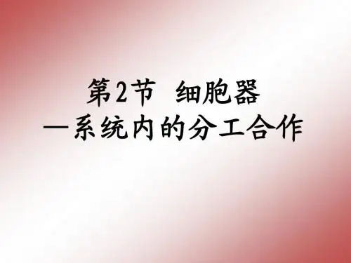 第2节 细胞器-系统内的分工合作
