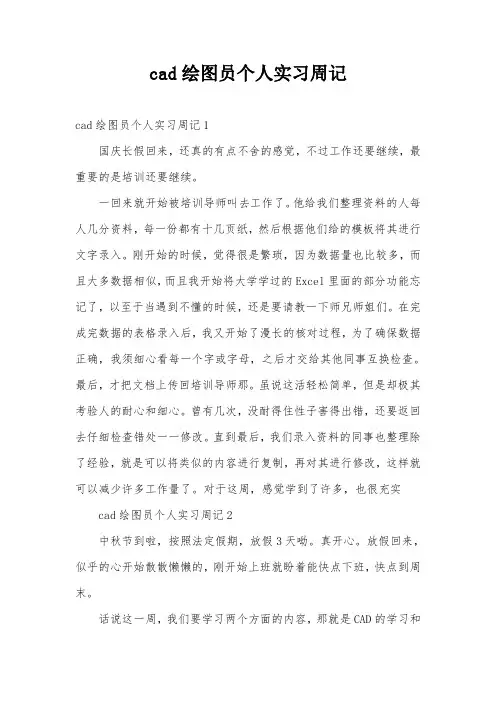 cad绘图员个人实习周记