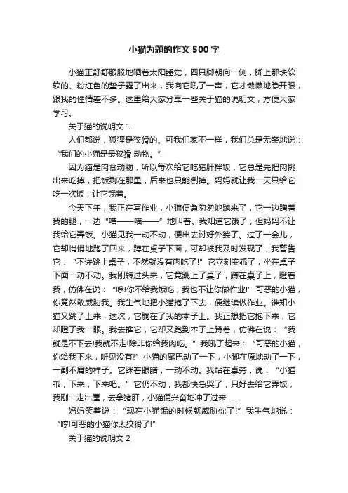 小猫为题的作文500字