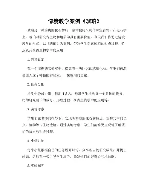 情境教学案例《琥珀》