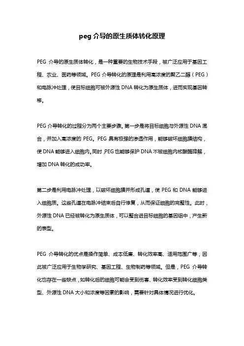 peg介导的原生质体转化原理