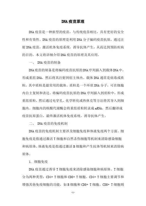 DNA疫苗原理