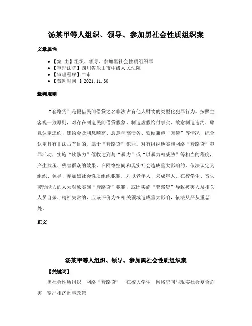 汤某甲等人组织、领导、参加黑社会性质组织案