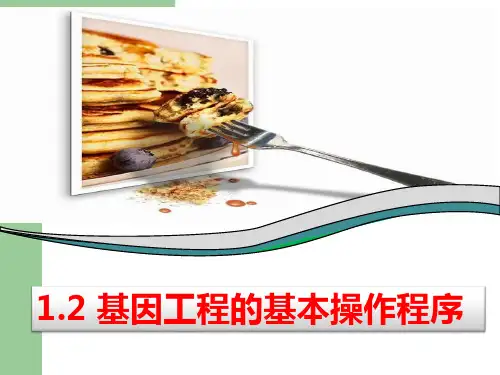 基因工程操作步骤