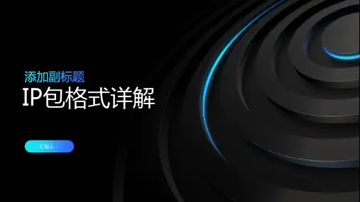 IP包格式详解