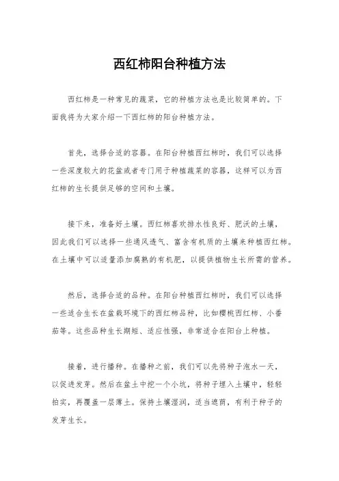西红柿阳台种植方法