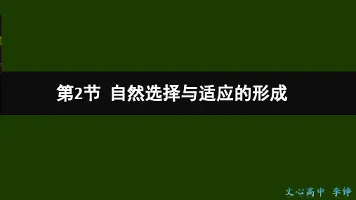 【新教材人教版生物】自然选择与适应的形成课件下载1