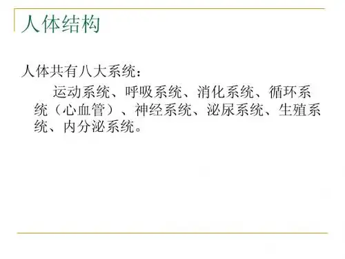 人体结构