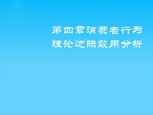 消费者行为理论边际效用分析