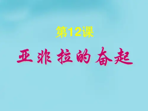 【历史课件】九年级历史下册第12课亚非拉的奋起(人教版)