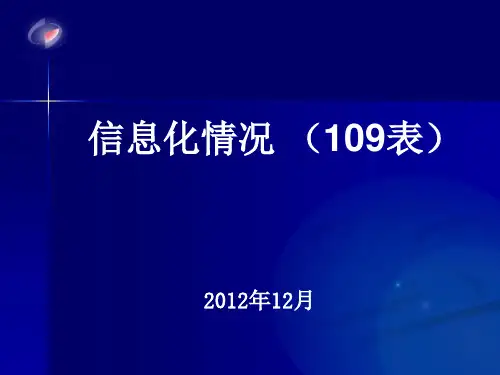 信息化情况109表