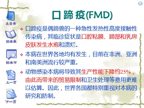 口蹄疫(FMD)