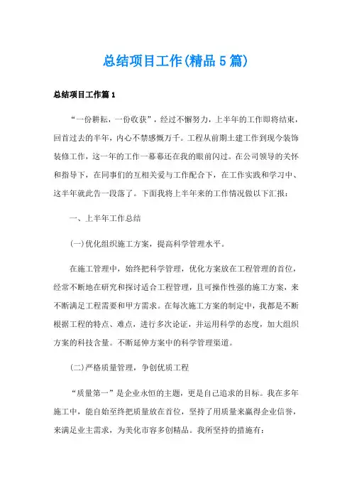 总结项目工作(精品5篇)