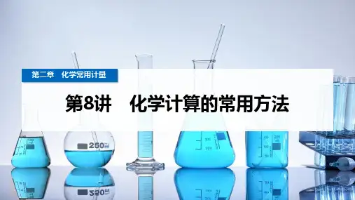 2025年高考化学总复习配套课件(人教版)第8讲化学计算的常用方法