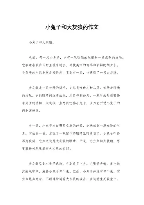 小兔子和大灰狼的作文