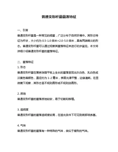 普通变形杆菌菌落特征