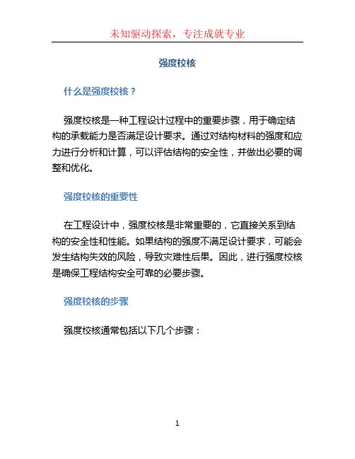 强度校核文档