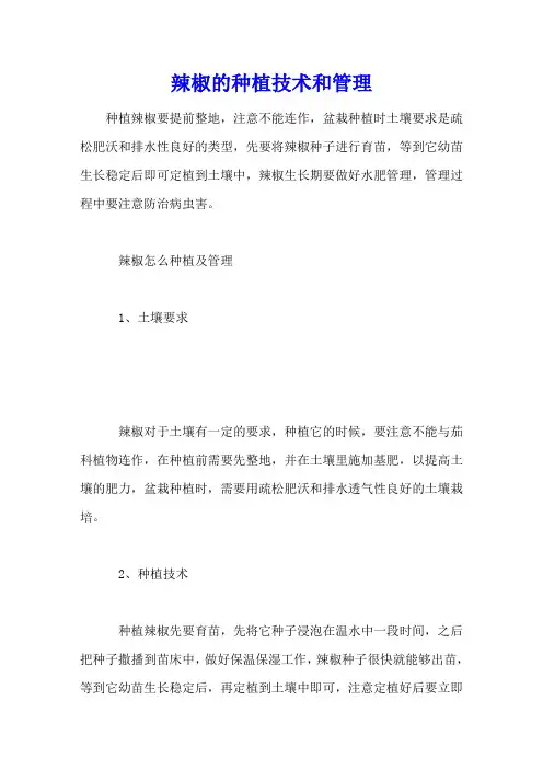 辣椒的种植技术和管理