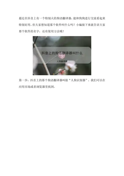 抖音上的狗语翻译器叫什么
