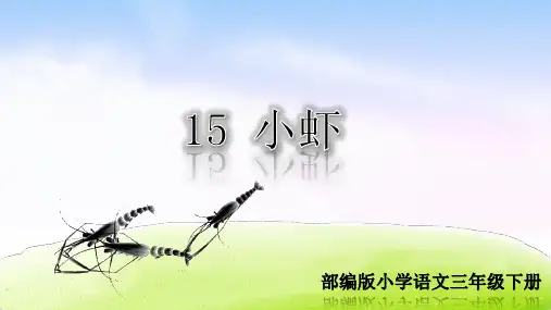 部编人教版三年级语文下册第15课《小虾》优秀PPT课件