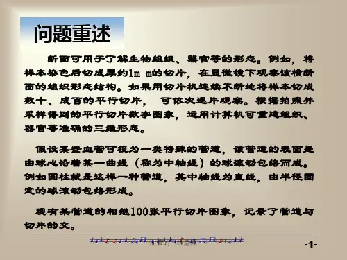 血管的三维重建课件