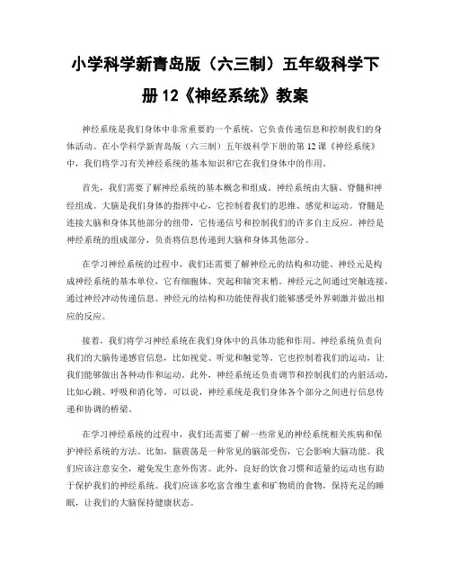小学科学新青岛版(六三制)五年级科学下册12《神经系统》教案