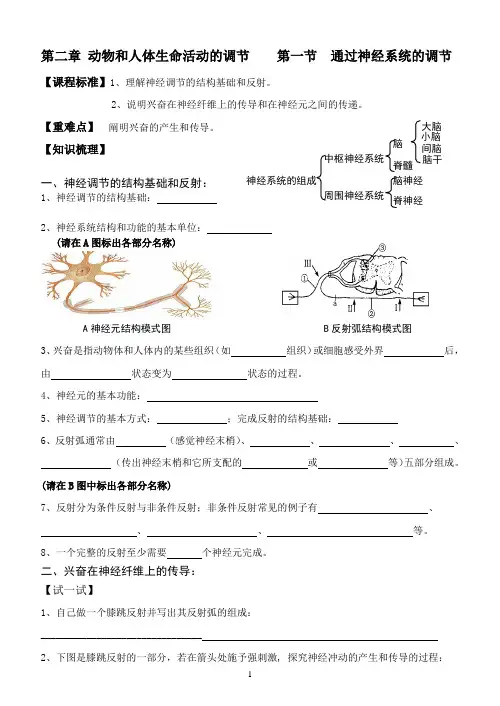 必修三第2章 人体与动物生命活动的调节第1节通过神经的调节