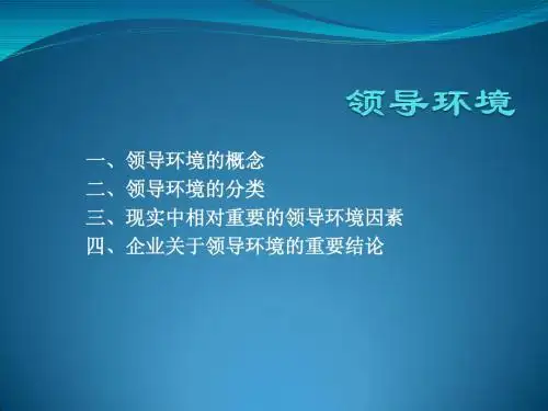 领导环境