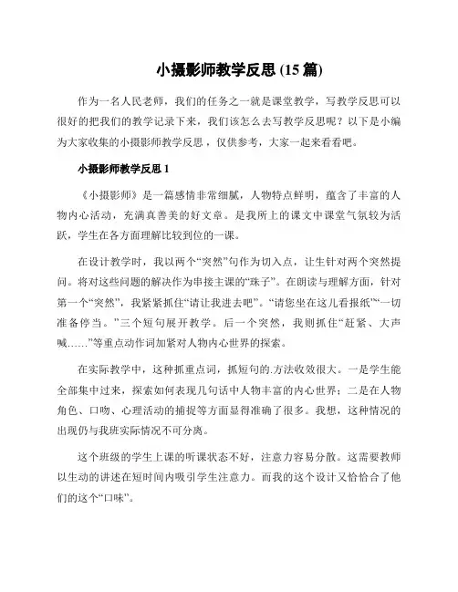 小摄影师教学反思 (15篇)