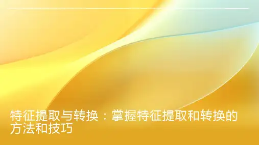 特征提取与转换：掌握特征提取和转换的方法和技巧