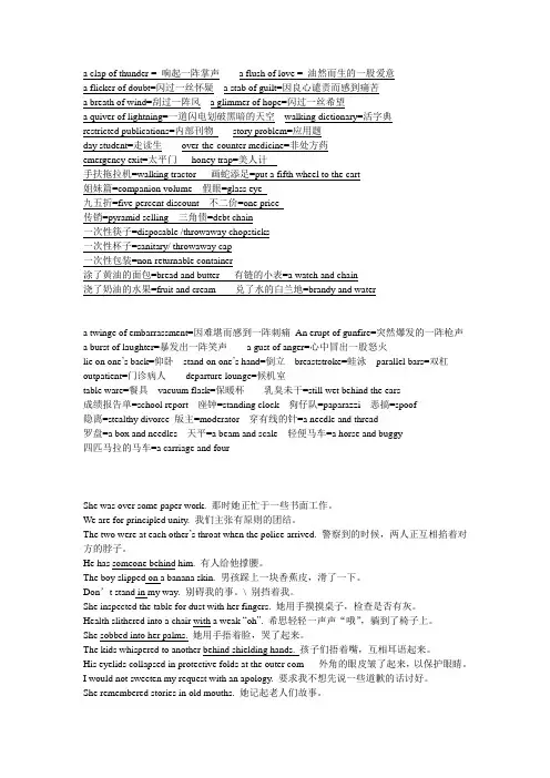 中译英和英译中的一些句子与词语翻译
