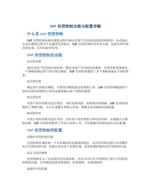 SAP信贷控制功能与配置详解