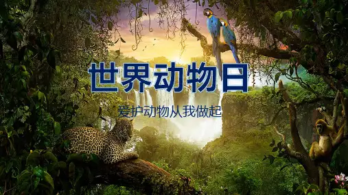 世界动物日珍稀动物中小学幼儿园通用课件PPT模板