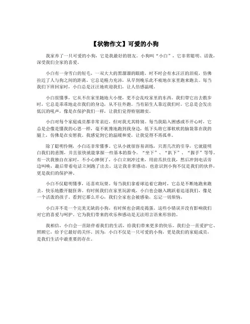【状物作文】可爱的小狗