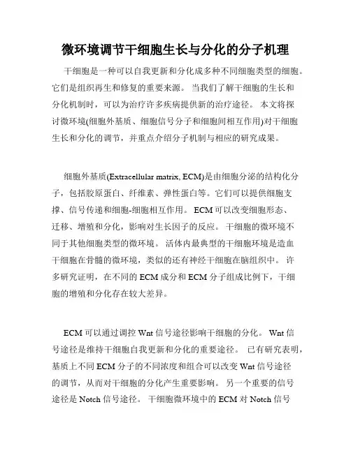 微环境调节干细胞生长与分化的分子机理