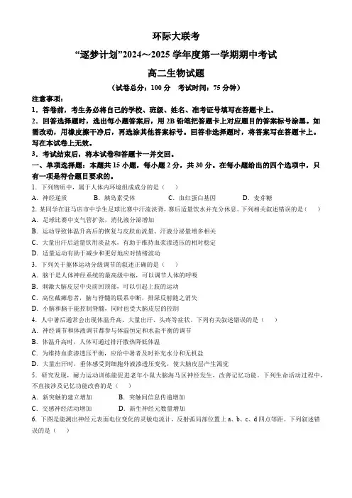 “逐梦计划”环际大联考2024-2025学年高二上学期期中考试生物试题(含解析)