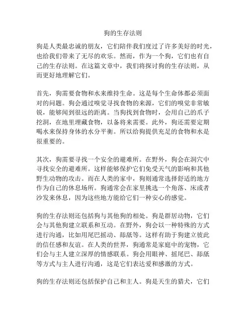 狗的生存法则