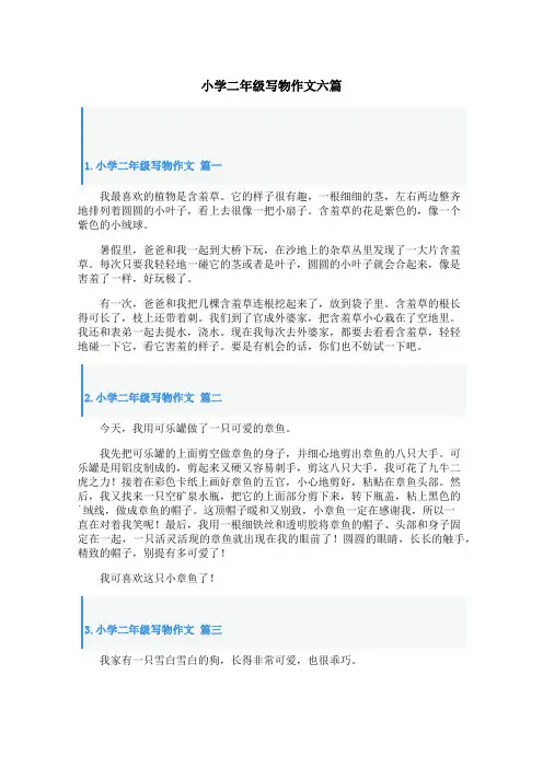 小学二年级写物作文六篇